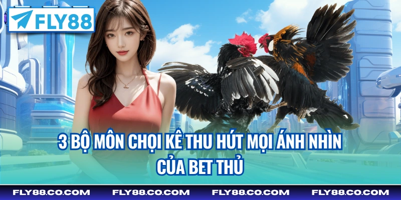 3 bộ môn chọi kê thu hút mọi ánh nhìn của bet thủ