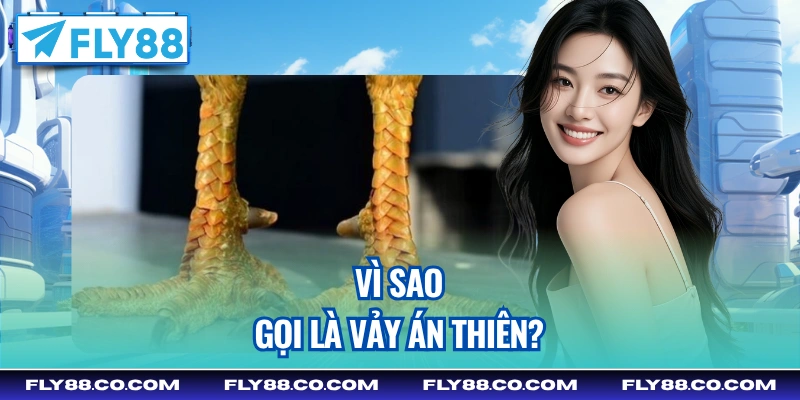 Vì sao gọi là vảy Án Thiên?